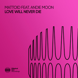 Love Will Never Die (Extended Mix)