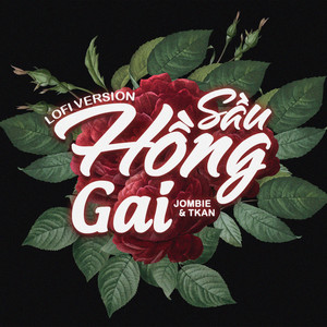 Sầu Hồng Gai (Lofi Version|Short Version 1)