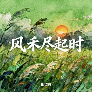 风禾尽起时