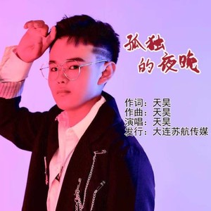 孤独的夜晚