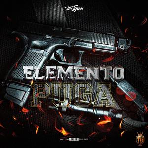 Elemento Puga