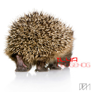 Hedgehog (Original Mix)