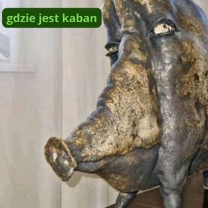 Gdzie Jest Kaban