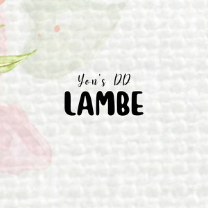 Lambe