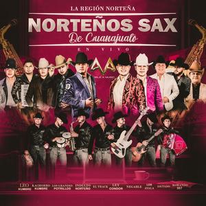 Norteños Sax De Guanajuato