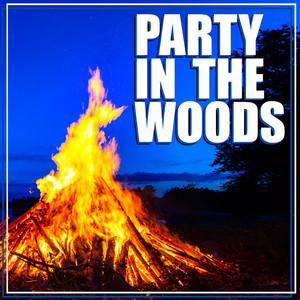 Party In The Woods (Explicit)