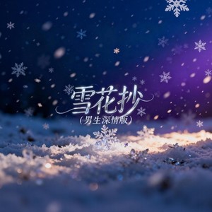雪花抄 (男生深情版)封面