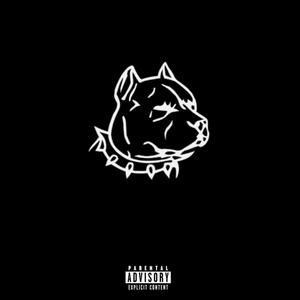 UNDERDOG (Explicit)