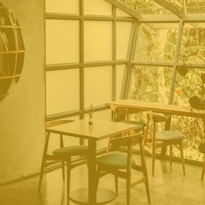 优美朋友们器乐