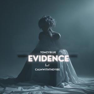Evidence (feat. Calmwiththevibe)