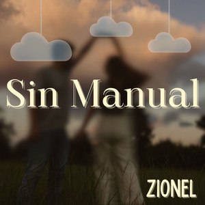 Sin Manual