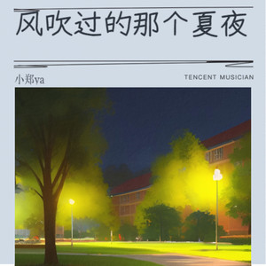 风吹过的那个夏夜