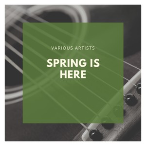 Stille Nacht, heilige Nacht