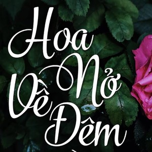 Hoa Nở Về Đêm