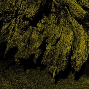 Special Dedication (1991 VIP)