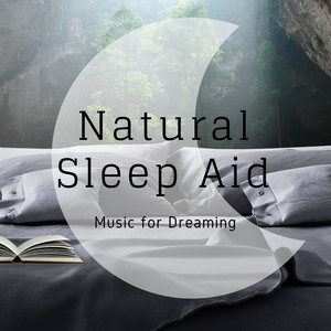 Natural Sleep Aid: Music for Dreaming, Baby Dreams, New Age Songs, Insomnia, Gentle Lullabies for Newborn