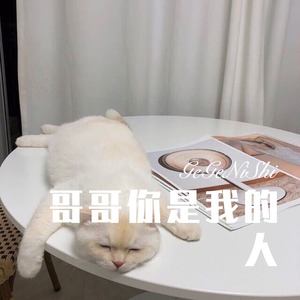 寄烧鸡 - 过大年 (Remix)