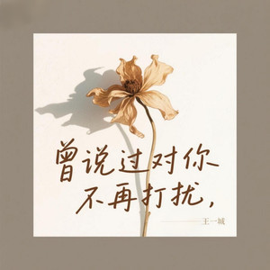 曾说过对你不再打扰