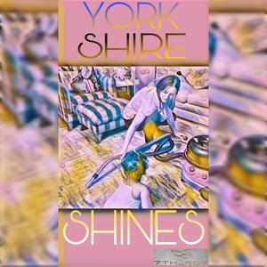 York Shire Shines