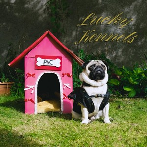 Lucky Kennels