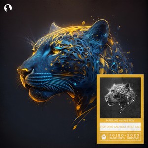 Stop Drop And Roll (Extended Mix)