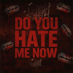 DO YOU HATE ME NOW (Explicit)