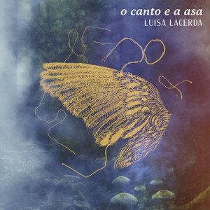 Carapuça