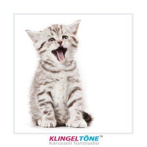 Miau Klingelton! - Süße Katze Sound Für Handy(feat. Katzen Jammer)