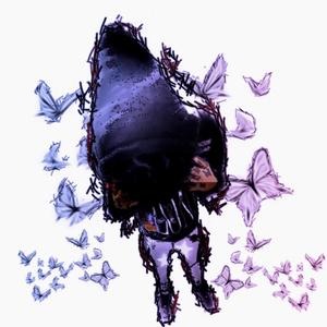 Heim Flow (Explicit)