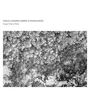 Cinco Lugares Sobre a Fragilidade IV
