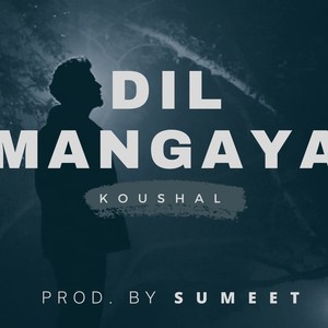 DIL MANGAYA