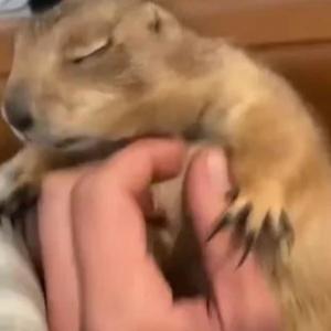 BigOunce! (feat. R3) (Explicit)