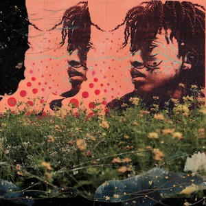 Where the Wild Things Are