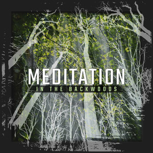 Meditation in the Backwoods: Calming Nature Ambiance, Zen Anti Stress Therapy