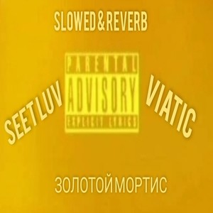Золотой Мортис (Slowed and Reverb) [Explicit]