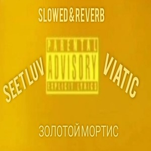 Золотой Мортис(Slowed and Reverb) (Explicit)