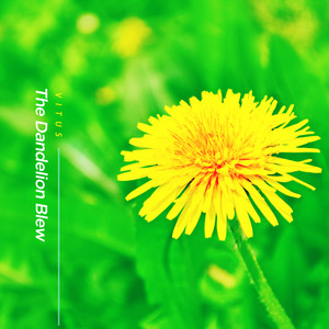 민들레가 피었어요 (The Dandelion Blew)