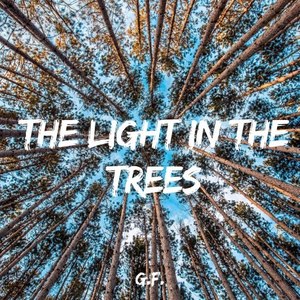 The Light in the Trees