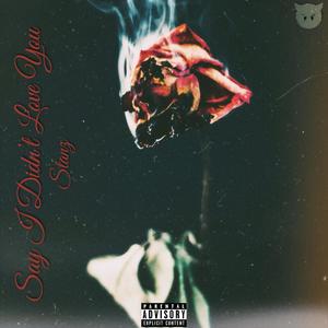 Say I Didn't Love You (Explicit)