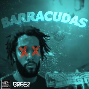 Barracudas (feat. Pro Knows Music) (Explicit)