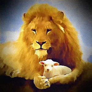 This Is Why (feat. Andrew Storar)