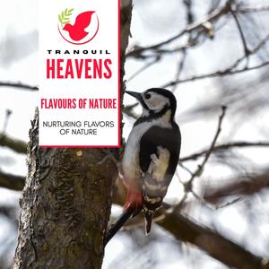 Flavours Of Nature- Nurturing Flavors of Nature