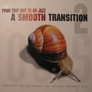 A Smooth Transition 2: from Trip Hop to Nu Jazz