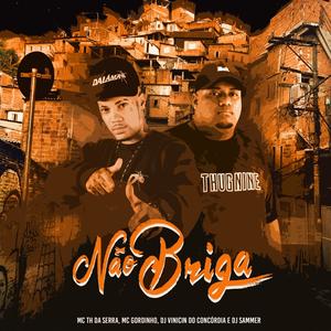 Não Briga(feat. MC TH DA SERRA, MC Gordinho & Dj Sammer) (Explicit)