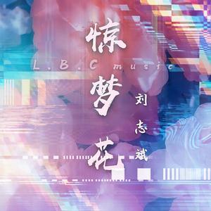 惊梦花 伴奏