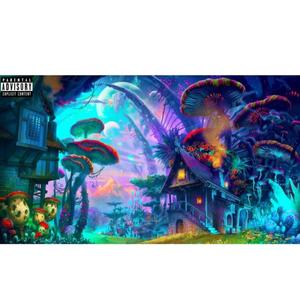 LAND OF SHROOMS (Explicit)