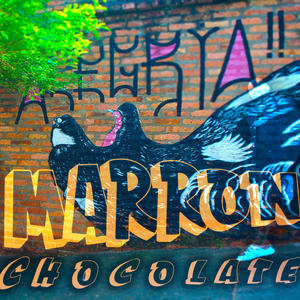 Marrón Chocolate