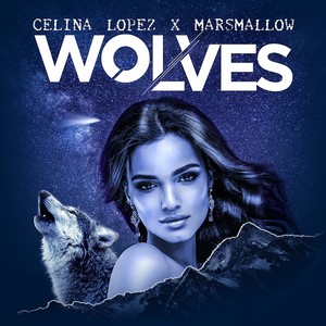 Wolves封面