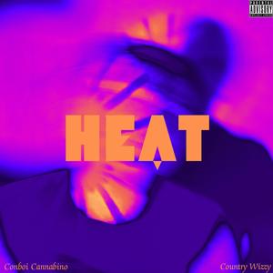 Heat (feat. Country Wizzy) (Explicit)