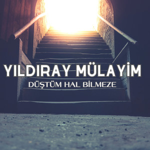 Düştüm Hal Bilmeze